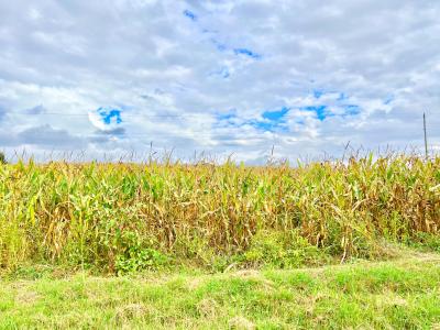 0 Crampton Road, Hillsdale, Michigan 49242, États-Unis