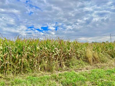 0 Crampton Road, Hillsdale, Michigan 49242, États-Unis