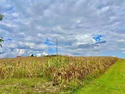 0 Crampton Road, Hillsdale, Michigan 49242, États-Unis