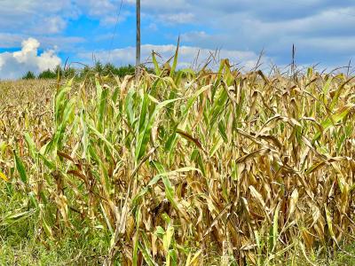 0 Crampton Road, Hillsdale, Michigan 49242, États-Unis