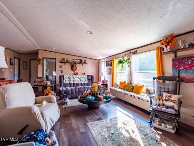 4670 South Highway 66, Rogersville, Tennessee 37857, Stati Uniti