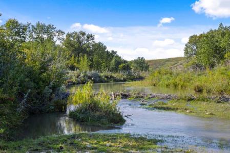 115041 SHARPLES BOTTOM RD, Claresholm, Альберта T0L 0T0, Канада