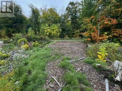 LOT 13 OLD 26 HIGHWAY, Meaford, Ontario N4L 1W7, Canada
