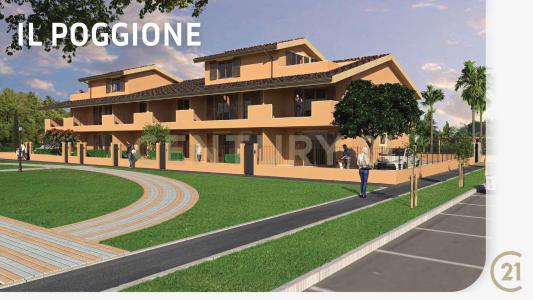 Via Brasile, Grosseto, Toscana 58100, Italy