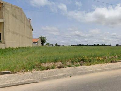 Ílhavo, Aveiro 3830-001, Portugal