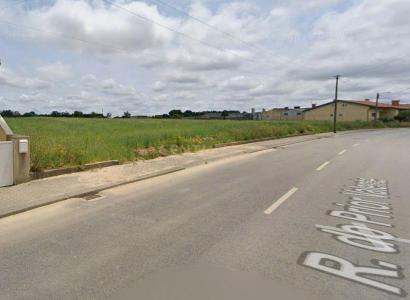 Ílhavo, Aveiro 3830-001, Portugal