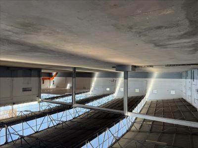 Alcanena, Santarem 2380-633, Portugal