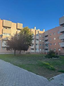 Aveiro, Aveiro 3800-381, Portugal