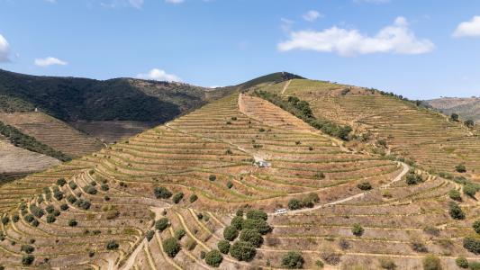 São João Da Pesqueira, Viseu 5130, Portugal