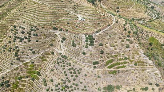 São João Da Pesqueira, Viseu 5130, Portugal
