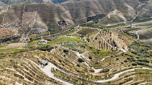São João Da Pesqueira, Viseu 5130, Portugal
