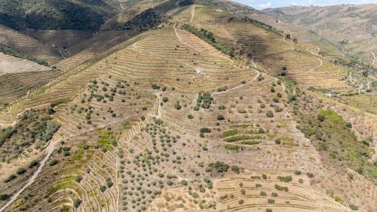 São João Da Pesqueira, Viseu 5130, Portugal