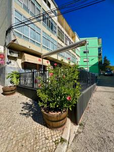 Loures, Lisboa 2680-571, Portugal