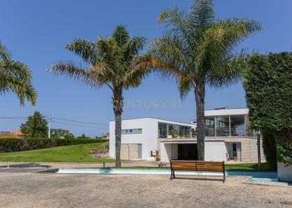 Estarreja, Aveiro 3860-643, Portugal