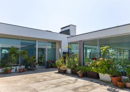 Estarreja, Aveiro 3860-643, Portugal