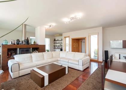 Estarreja, Aveiro 3860-643, Portugal