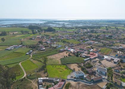 Estarreja, Aveiro 3860-633, Portugal