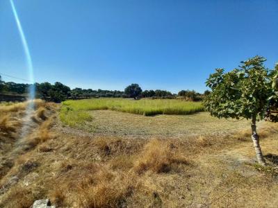 布朗庫堡區, 布朗庫堡區 6005-193, 葡萄牙