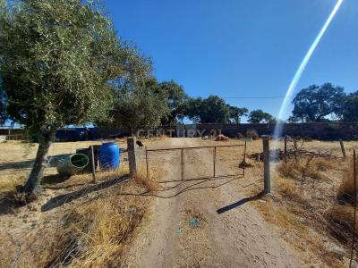 布朗庫堡區, 布朗庫堡區 6005-193, 葡萄牙