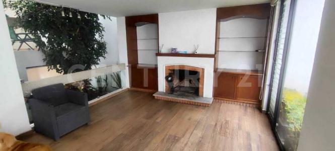 Albert Einstein 100,, Alvaro Obregón, Ciudad De México 01330, Mexico