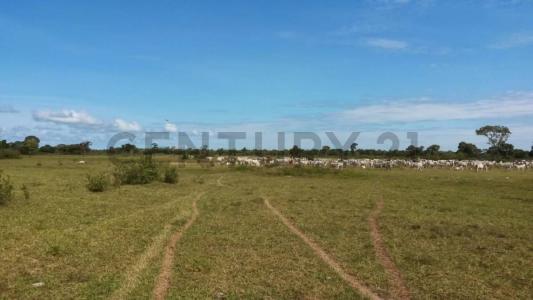 Norte, Santa Cruz 00001, 玻利維亞