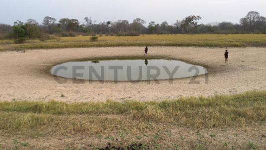 Norte, Santa Cruz 00001, 玻利維亞