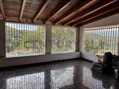 Roble Meche, Caracas, Miranda 1080, Venzuela