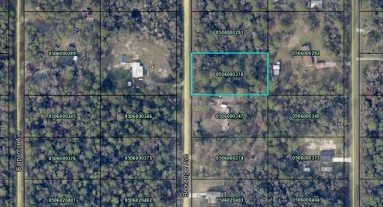 10040 Beckenger Avenue, Hastings, Florida 32145, USA