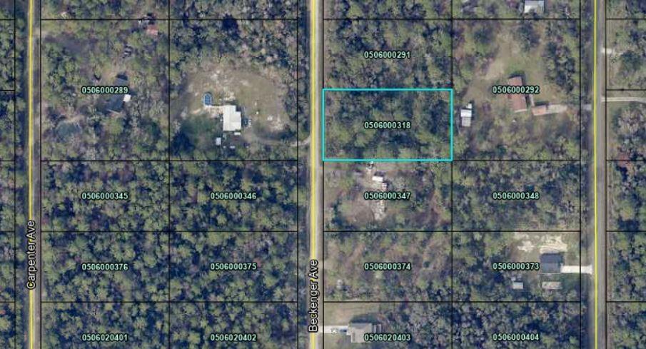 10040 Beckenger Avenue, Hastings, Flórida 32145, Estados Unidos