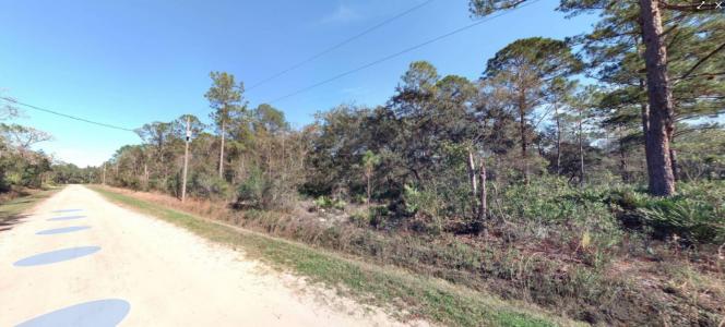 10040 Beckenger Avenue, Hastings, Flórida 32145, Estados Unidos