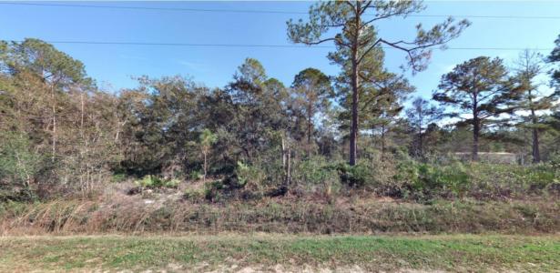 10040 Beckenger Avenue, Hastings, Flórida 32145, Estados Unidos