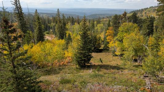 MS 2066 Moose Trail, Lead, 南达科他州 57754, 美国