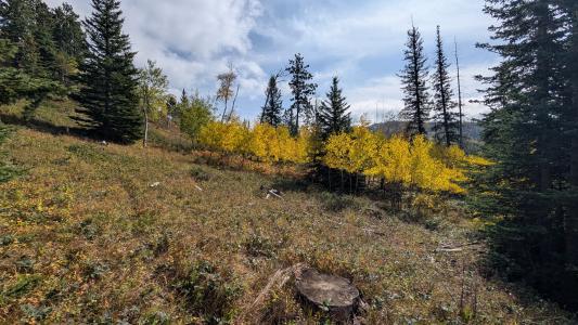 MS 2066 Moose Trail, Lead, 南达科他州 57754, 美国