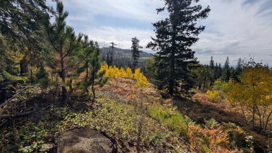 MS 2066 Moose Trail, Lead, 南达科他州 57754, 美国