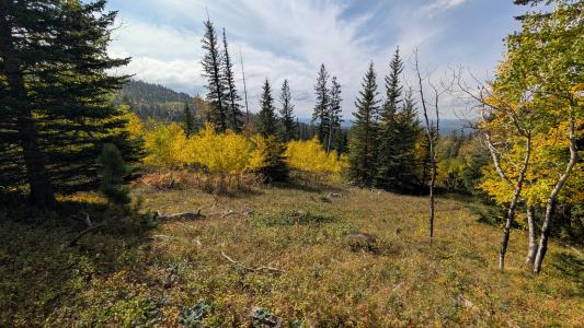 MS 2066 Moose Trail, Lead, 南达科他州 57754, 美国