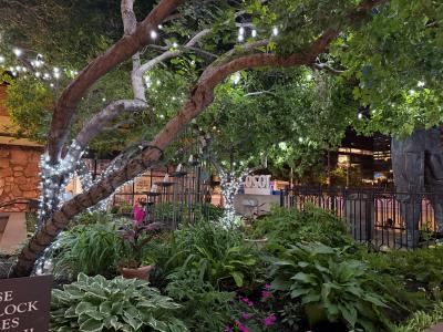 1020 15th Street, Unit 10G, Denver, Colorado 80202, USA