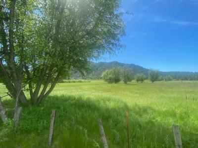 NNA 80 acres Blue Lake Rd., Priest River, Идаго 83856, Соединенные Штаты