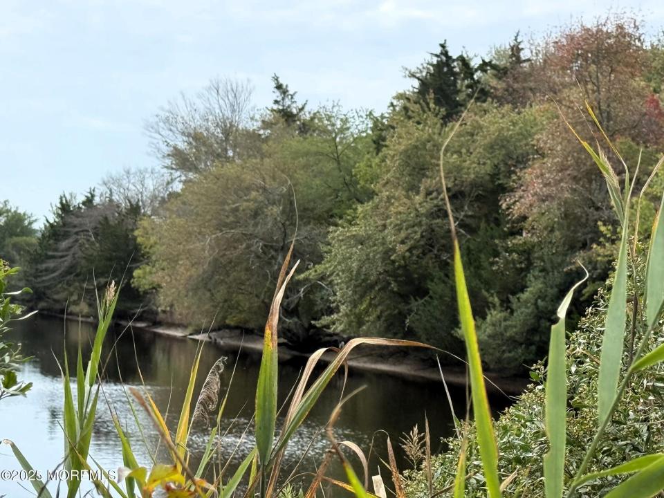 11 Persimmon Drive, Little Egg Harbor, Nueva Jersey 08087, Estados Unidos