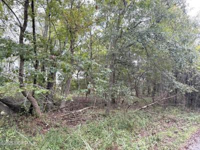 11 Persimmon Drive, Little Egg Harbor, Nueva Jersey 08087, Estados Unidos