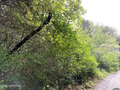 11 Persimmon Drive, Little Egg Harbor, Nueva Jersey 08087, Estados Unidos