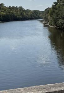 103 Happiness Lane, Ridgeville, South Carolina 29472