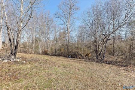 1500 County Road 784, Flat Rock, Alabama 35966, Estados Unidos