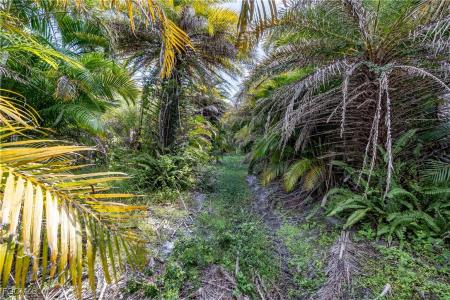 12549 Tiffany Road, Bokeelia, 佛罗里达州 33922, 美国