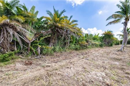 12549 Tiffany Road, Bokeelia, 佛罗里达州 33922, 美国