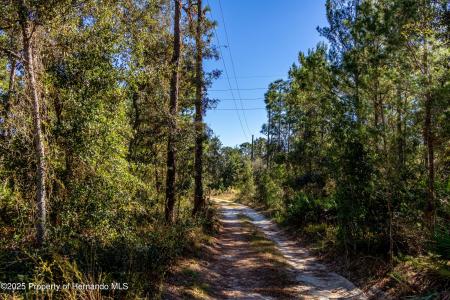 12060 Ehrenwald Drive, Brooksville, פלורידה 34613, ארצות הברית של אמריקה