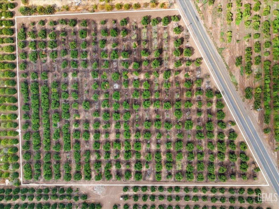 9444 Road 272, Porterville, 加州 93257, 美國