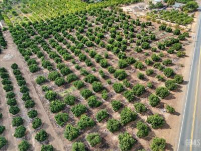 9444 Road 272, Porterville, 加州 93257, 美國