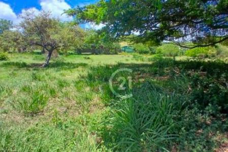 Terrain plat au Vauclin, Vauclin, Le Marin, Martinica