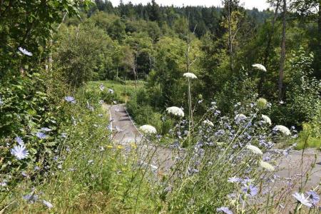 48875 ELK VIEW ROAD, Chilliwack, 不列顛哥倫比亞省 V4Z 1G7, 加拿大