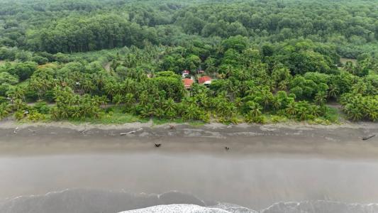 Palo Seco Beach , Parrita Parrita, Puntarenas 60901, Costa Rica